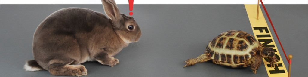 A picture of a tortoise crossing the finish line in front of a hare. The hare's surprise is indicated by a red exclamation mark